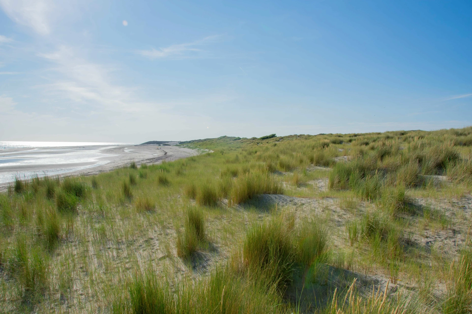 nederland regio noord holland strand duinen