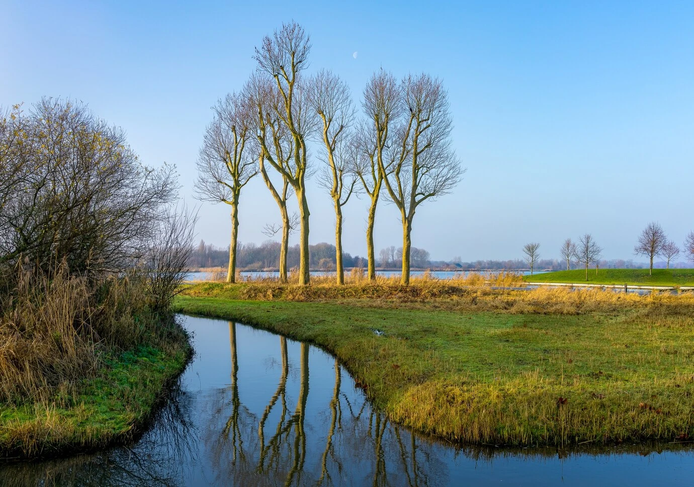 nederland  regio gelderland weiland